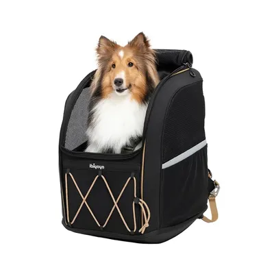 Grand sac à dos de transport 3-en-1 pour chien Champion - Noir de jais