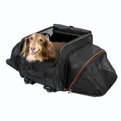 Poussette 3 en 1 pour chien - Approuvée par les compagnies aériennes