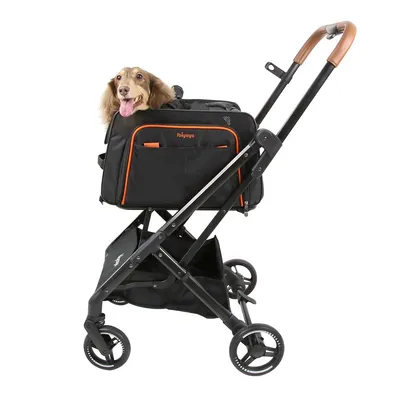 Poussette 3 en 1 pour chien - Approuvée par les compagnies aériennes