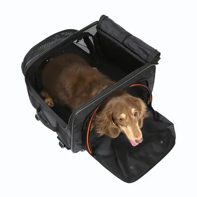 Poussette 3 en 1 pour chien - Approuvée par les compagnies aériennes