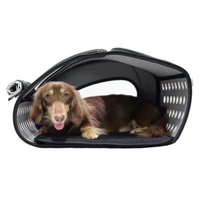 Sac de transport et poussette 5 en 1 pour animaux de compagnie - Bleu