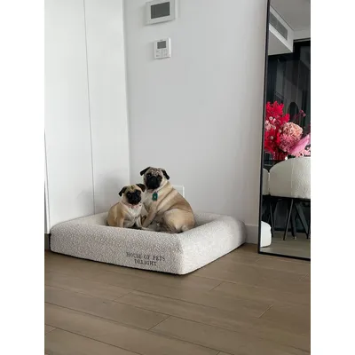 Lit pour chien en mousse à mémoire de forme bouclée Lit pour chien en mousse à mémoire de forme bouclée