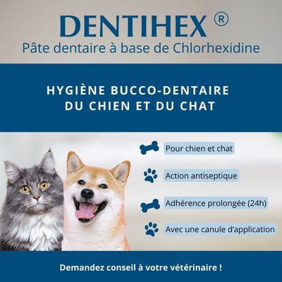 OSALIA - Dentihex Avec Applicateur