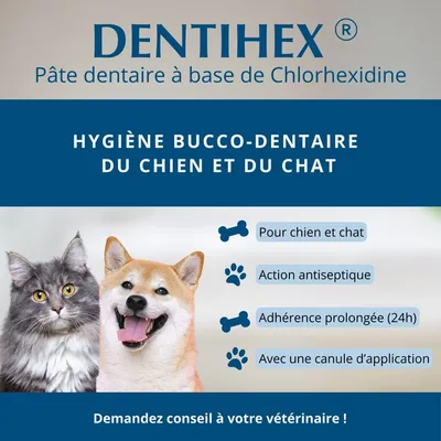 OSALIA - Dentihex Avec Applicateur