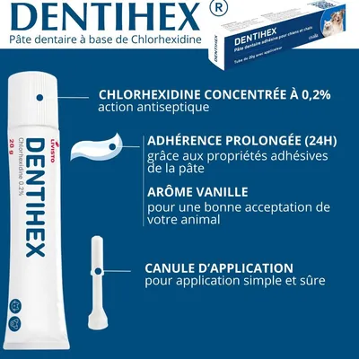 OSALIA - Dentihex Avec Applicateur