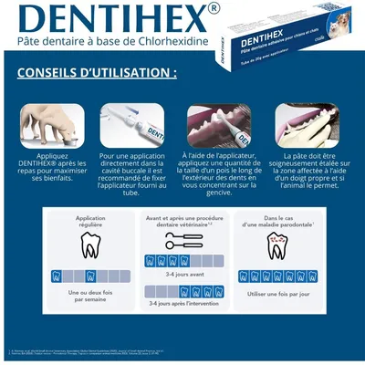 OSALIA - Dentihex Avec Applicateur