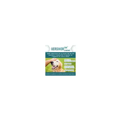 OSALIA - VERSIKOR® 500 Chews Chien - Osalia
