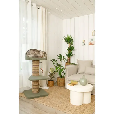 Arbre à chat boréal 95 cm vert pour grand chat