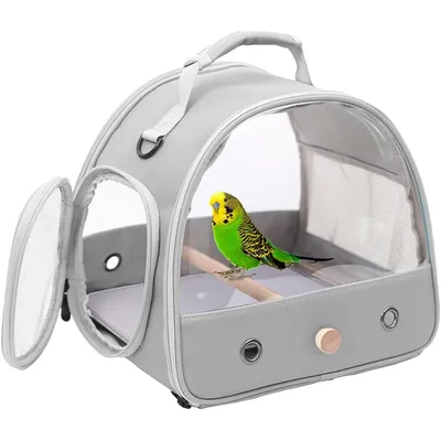 Transporteur pour Petits Oiseaux, Cage avec perchoir en Bois