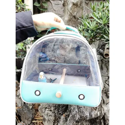 Transporteur pour Petits Oiseaux, Cage avec perchoir en Bois