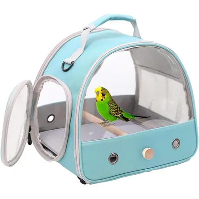 Transporteur pour Petits Oiseaux, Cage avec perchoir en Bois