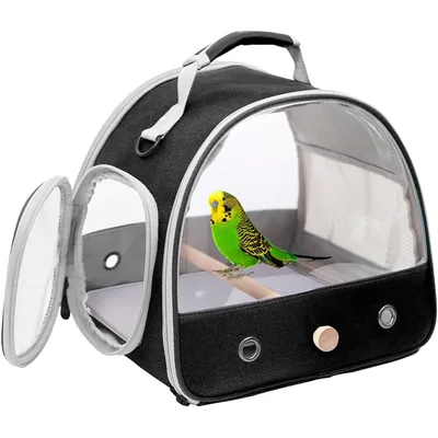 Transporteur pour Petits Oiseaux, Cage avec perchoir en Bois