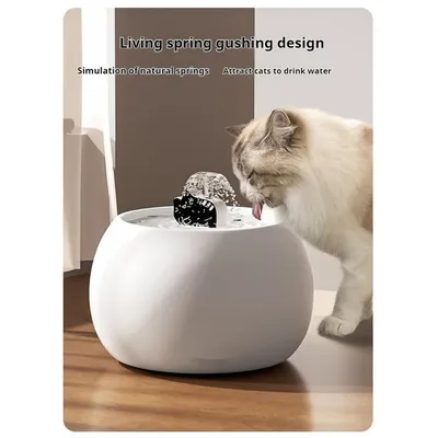 IntiMeg 1L Fontaine d'eau en céramique pour chat
