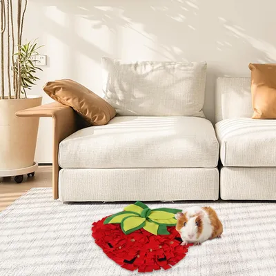 Tapis d'alimentation pour chiens, Motif fraise