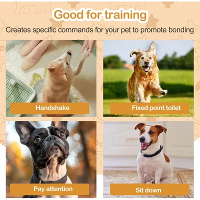 Sifflet Ultrason Chien Anti Aboiement Livré avec Lanière