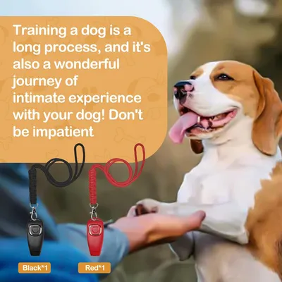 Sifflet Ultrason Chien Anti Aboiement Livré avec Lanière