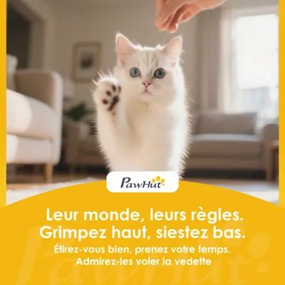 Tour pour chat 4 niveaux
