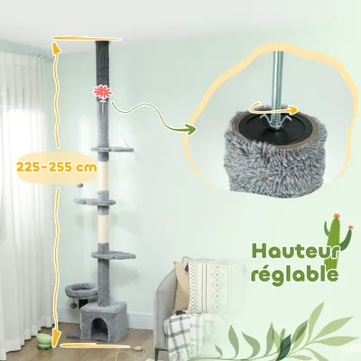 Arbre à chat du sol au plafond
