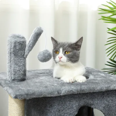 Arbre à chat à 3 niveaux tour pour chat