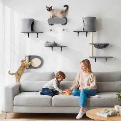 Étagères murales pour chat arbre à chat mural 5 pièces