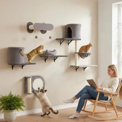 Étagères murales pour chat arbre à chat mural 5 pièces