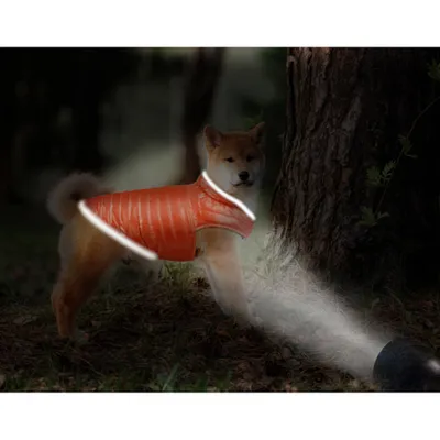 Manteau matelassé réversible pour chien