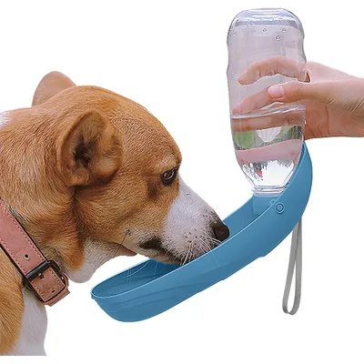 UAMLY bouteille d'eau portable pour chiens