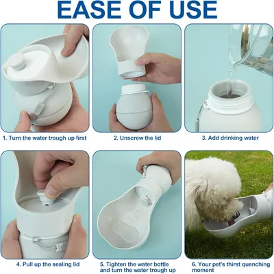 Tasse d'eau Portable pour Chiots