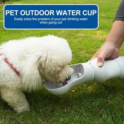 Tasse d'eau Portable pour Chiots
