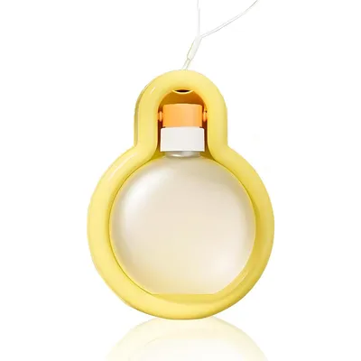 Gamelle d'eau pliable et portable pour chien