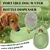 Gourde portable pour chien, distributeur d'eau de voyage