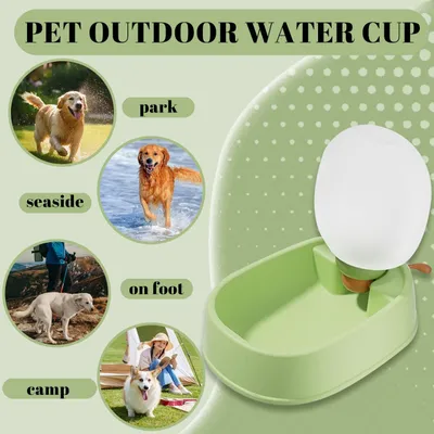 Gourde portable pour chien, distributeur d'eau de voyage