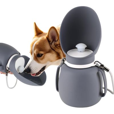 Gourde Chien Bouteille Eau Chien Portable