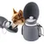 Gourde Chien Bouteille Eau Chien Portable