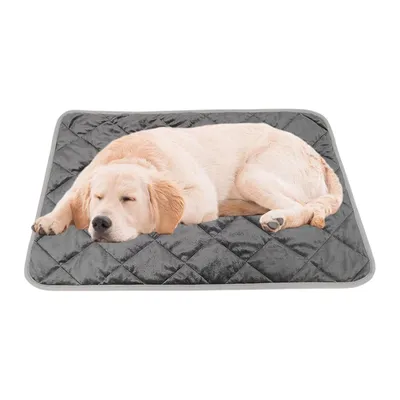 Tapis chauffant pour chat, couverture d'hiver Tapis chauffant pour chat, couverture d'hiver