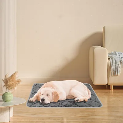 Tapis chauffant pour chat, couverture d'hiver Tapis chauffant pour chat, couverture d'hiver