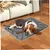Tapis chauffant pour chat, couverture d'hiver