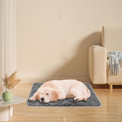 Tapis chauffant pour chat, couverture d'hiver