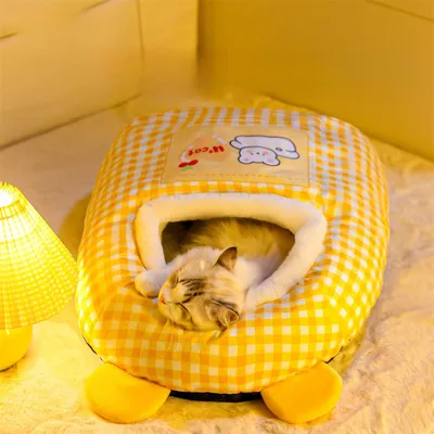 Maison Sapin De Noël Pour Chat Et Chien - Petits Compagnons