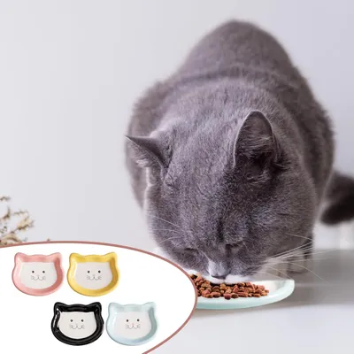 Gamelle Chat Ceramique avec Base Antidérapante