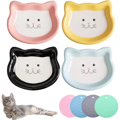 Gamelle Chat Ceramique avec Base Antidérapante