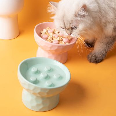 Mangeoire lente surélevée pour chat