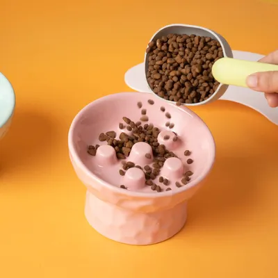 Mangeoire lente surélevée pour chat