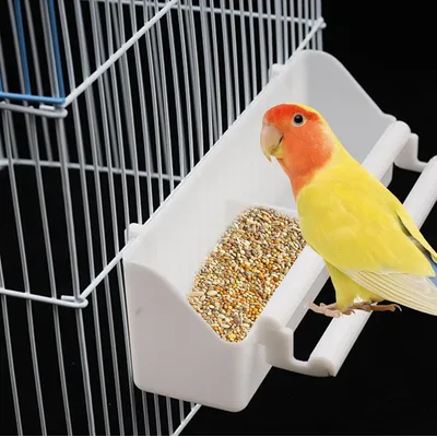 Colonne de nourriture pour oiseaux avec support