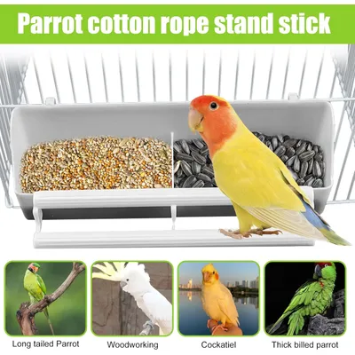 Colonne de nourriture pour oiseaux avec support