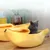 IntiMeg Lit en forme de banane pour animaux de compagnie