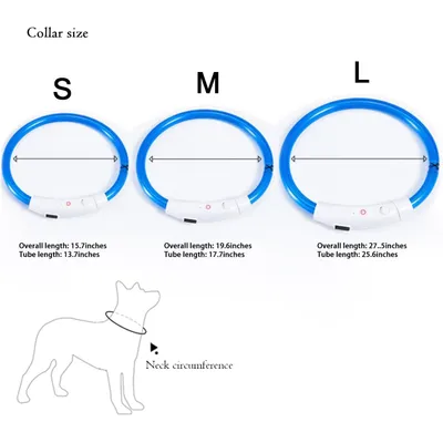 Collier pour chien à fibre optique LED, anti-collision nocturne