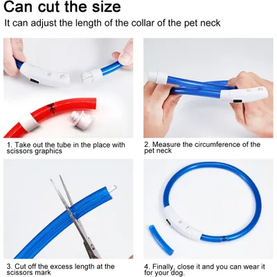 Collier pour chien à fibre optique LED, anti-collision nocturne