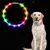 Collier pour chien à fibre optique LED, anti-collision nocturne