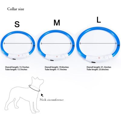Collier pour chien à fibre optique LED, anti-collision nocturne